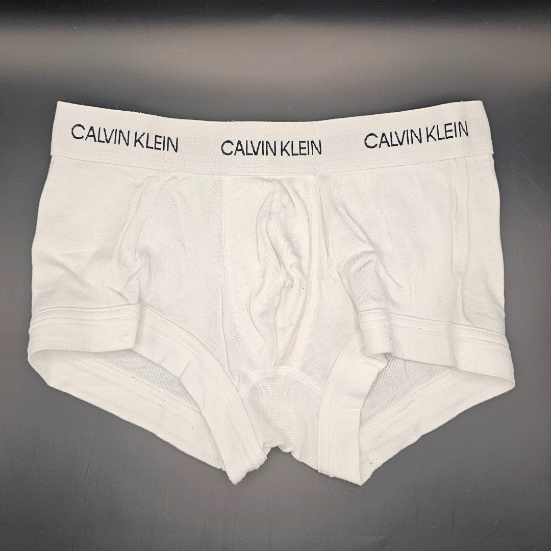 Calvin Klein Statement 1981 Trunks (white)