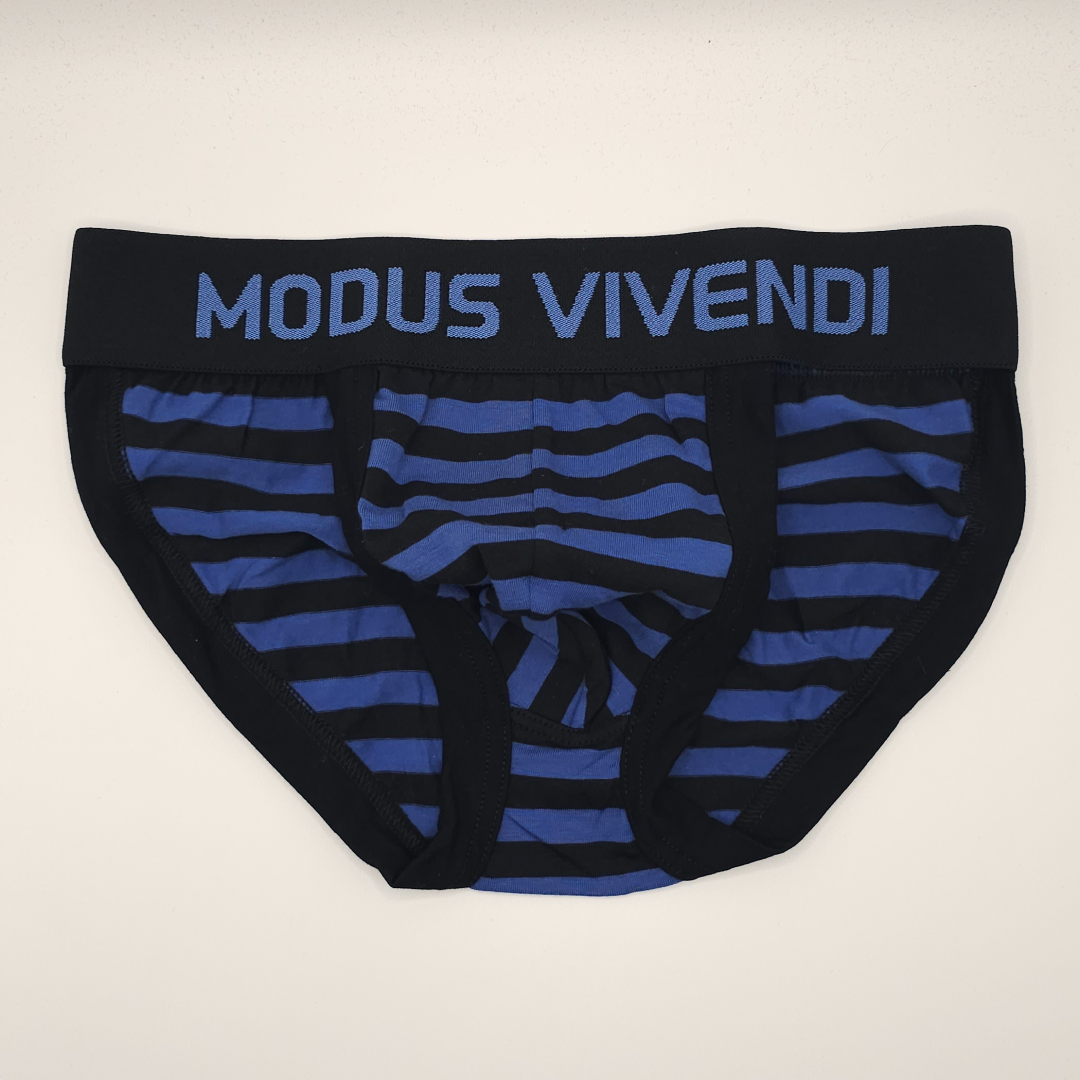 Modus Vivendi Striped Sports Brief Blue